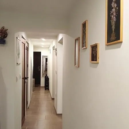 Apartment Kamenitza Guest Flat Plovdiv