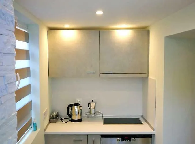 公寓 Kamenitza Guest Flat